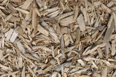 biomass boilers Hammoon